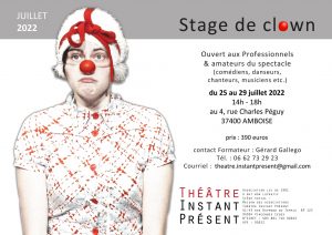 Stage de clown de théâtre du 25 au 29 juillet 2022 à AMBOISE